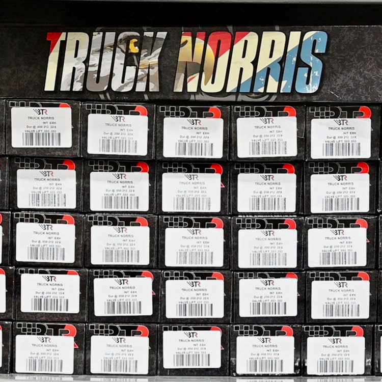 BTR Brian Tooley Racing Truck Norris Camshaft, LS Beehive Spring Kit, 7.400" Chromoly LS Pushrods & OEM Style Hat Valve Seals -fits Gen 3/4 LS 4.8 5.3 5.7 6.0 6.2 LS1 Vortec V8 Engines - Image 3